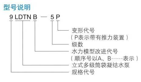 LDTN型凝美女日皮视频APP