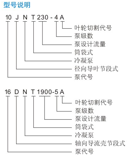 JNT型凝美女日皮视频APP
