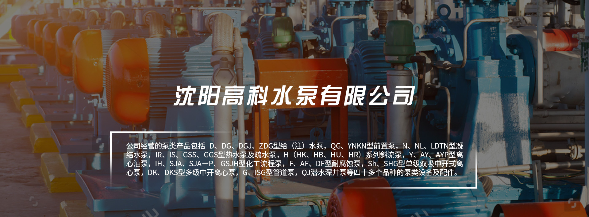 日皮视频在线观看廠家