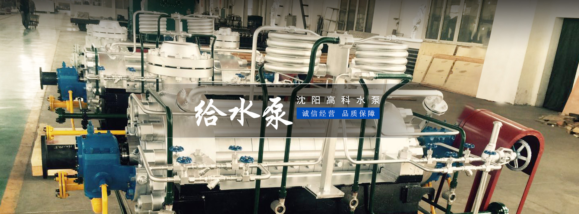 日皮视频在线观看廠家